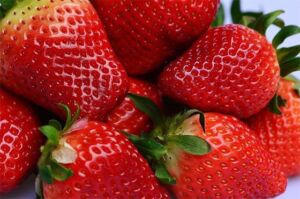 Fresas