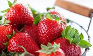 Fresas