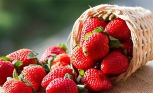 Fresas