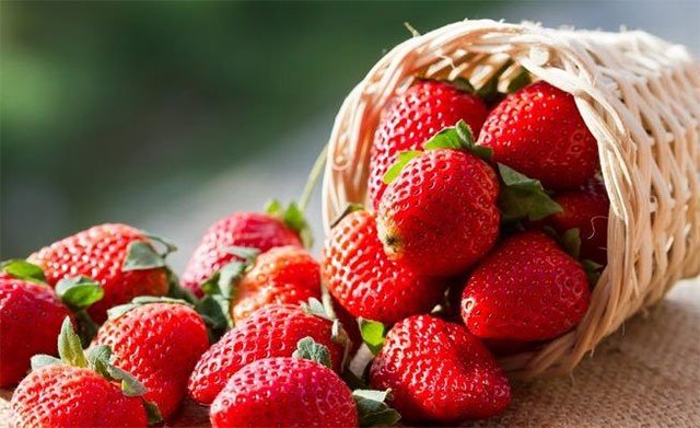 Cultivo de fresa - Una canasta pequeña, llena de fresas