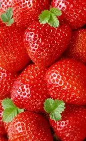 Fresas