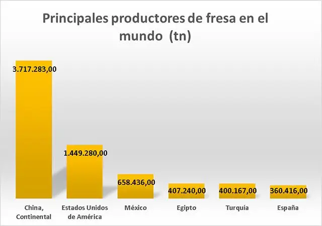 Cultivo de fresa - Grafico de los principales productores de fresas en el mundo