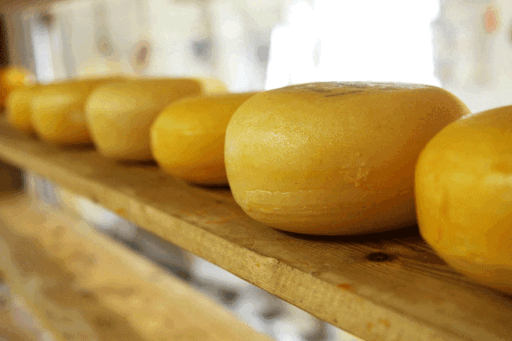 ¿Cómo se elabora el queso?  Paso a paso