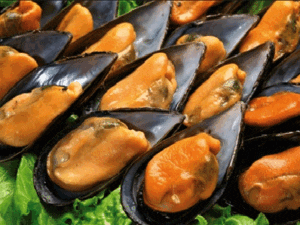 Mejillón - Manejo de los mejillones