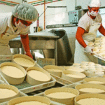 Agropedia - Elaboración de quesos