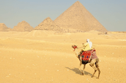 Hombre sobre camello por las pirámides de Egipto