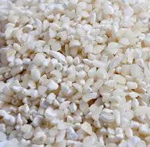 Semillas de maíz blanco