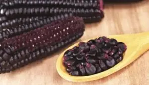 Mazorcas de maíz negro