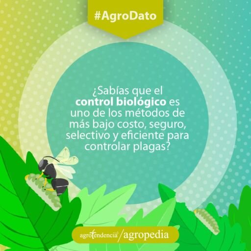Control biológico - Avispa con una larva como control biológico en una planta