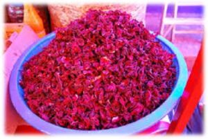 Flor de Jamaica