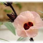 Flor de Jamaica rosada