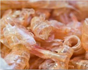 Camarones