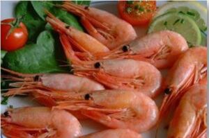 Camarones