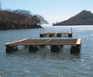 Sistema flotante con balsas para el cultivo de la ostra