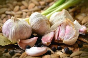Cultivo de ajo