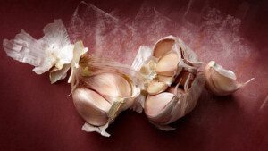 Cultivo de ajo