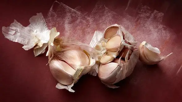 Cultivo de ajo - Una cabeza de ajo trozada por la mitad mostrando los dientes