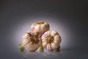 Cultivo de ajo - Tres cabezas de ajo