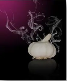 Cultivo de ajo - Cabeza de ajo