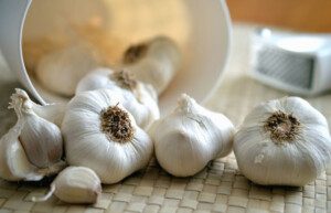 Cultivo de ajo