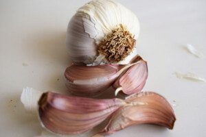 Cultivo de ajo