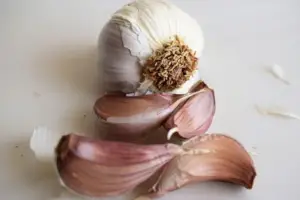 Cultivo de ajo