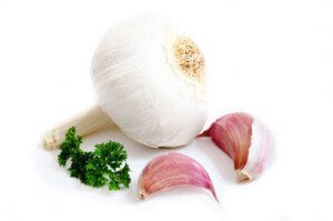 Cultivo de ajo