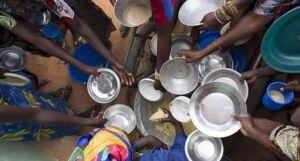 Bioeconomía - Alimentación humana