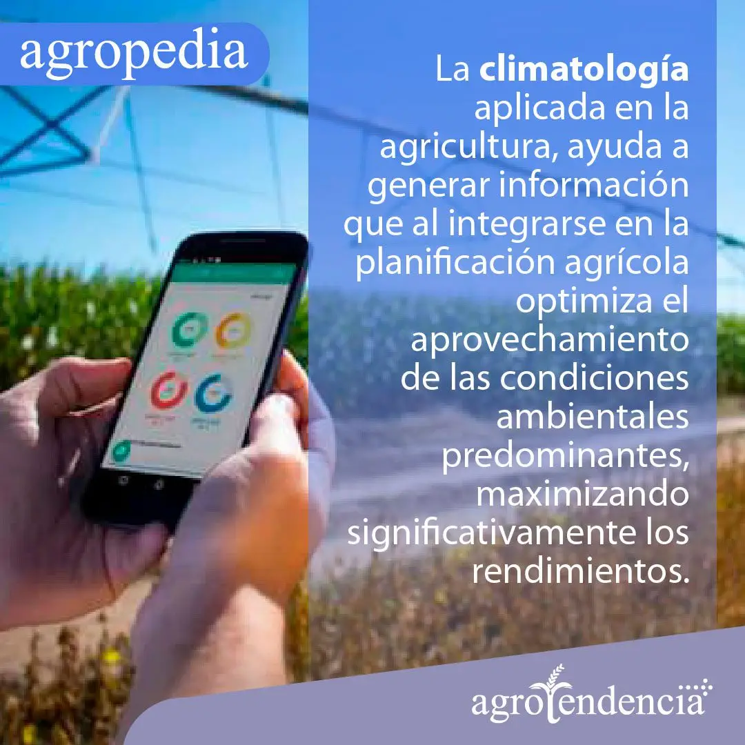 Clima agricultura y siembra - Manos sosteniendo un celular con una aplicación de climatología