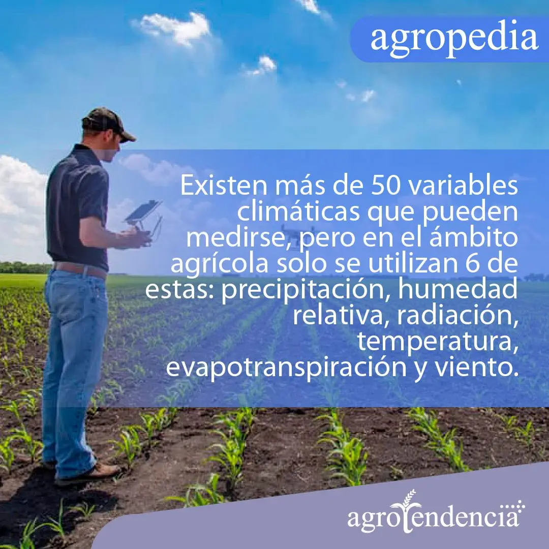 Clima agricultura y siembra - Hombre con un aparato en sus manos midiendo el clima en un cultivo