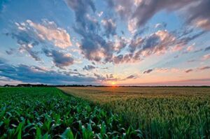 Cómo influye el clima en la agricultura y siembra