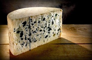 Oveja - Un pedazo de queso roquefort obtenido a partir de la leche de oveja