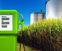 Cultivo de sorgo - Un dispensador de combustible en un sembradío de sorgo 