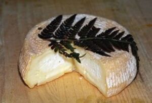 Oveja - Producción ovina - Producción de ovejos - Oveja - Ovejos - Ovejo - Queso de ovejas