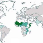 Cultivo de sorgo - Países productores