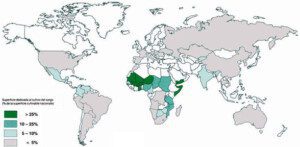 Cultivo de sorgo - Países productores
