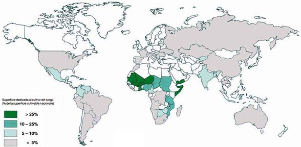 Mapa mundial describiendo los paises que producen sorgo