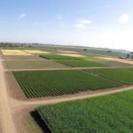 El clima en la agricultura - Agroclimatología - cultivos