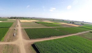 El clima en la agricultura - Agroclimatología - cultivos