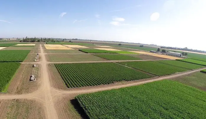 Clima agricultura y siembra - El clima en un campo cultivado 