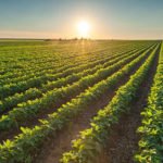 El clima en la agricultura - Agroclimatología - Cultivo