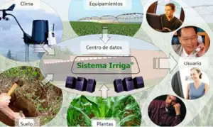 El clima en la agricultura - Agroclimatología