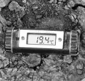 Cultivo de sorgo - Un termómetro midiendo temperatura de suelo