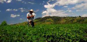 El clima en la agricultura - Agroclimatología