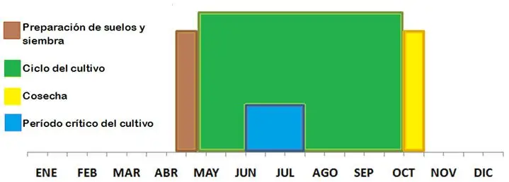 Clima agricultura y siembra - Grafico en barras de calendario agrícola según el clima de una zona