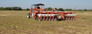 Cultivo de sorgo - Preparación de suelo
