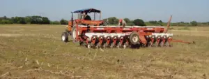 Cultivo de sorgo - Preparación de suelo