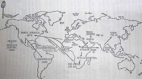 Cultivo de sorgo - Dibujo de mapa mundial indicando con flechas la distribución del sorgo