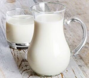Oveja - Producción ovina - Producción de ovejos - Oveja - Ovejos - Ovejo - Leche de oveja