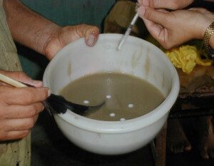 Cachama - Cría de la cachama - Beneficios de la cría de la cachama - Cultivo de cachama - Producción de cachama